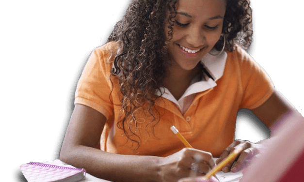 Homework Tuition, Technical Support & Assistance Programmes