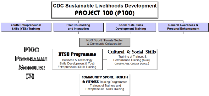 P100 Programme Structure